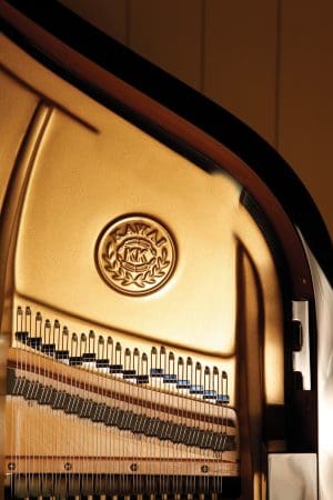 Ten Year Fully Warranty