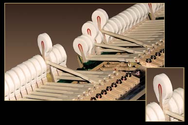 Ultra Responsive Action