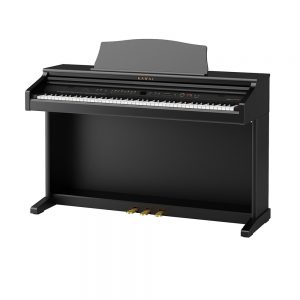 CE220 Digital Piano Dallas